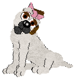Karma3.bmp (30506 bytes)