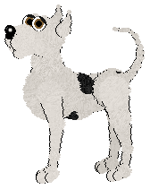 Snyder-Pose.bmp (40526 bytes)