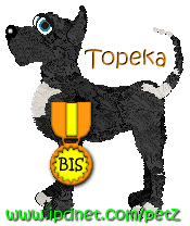 1-BIS-dogz.gif (11817 bytes)