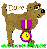 1-HM-dogz.gif (11102 bytes)