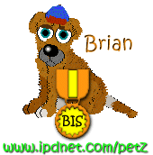 2-BIS-dogz.gif (8882 bytes)